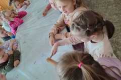 IMG-20250424-WA0005