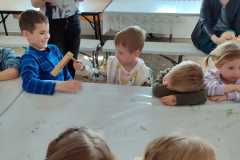 IMG-20250424-WA0008