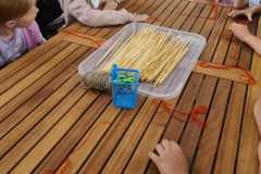 IMG-20250605-WA0026