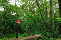 IMG_20250617_093226