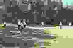 IMG-20250930-WA0016