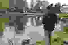 1000015768