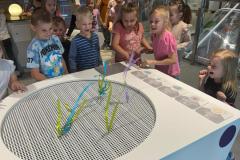 IMG-20250508-WA0013