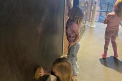 IMG-20250508-WA0025