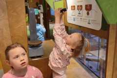 IMG-20250512-WA0016