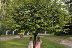 IMG-20250929-WA0001