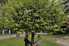 IMG-20250929-WA0002