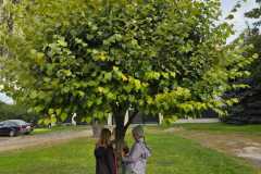 IMG-20250929-WA0007