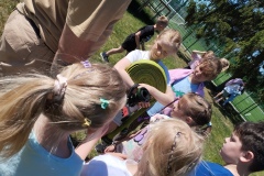 IMG_20260526_112125